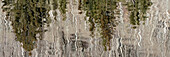 USA, Utah. Reflections on Warner Lake, Manti-La Sal National Forest.