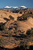 Vereinigte Staaten von Amerika, Utah. Blick auf Sandsteinformationen in der Sand Flats Recreation Area mit der La Sal Mountain Range im Hintergrund, nahe Moab.