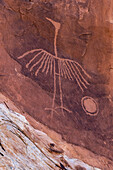 USA, Utah. Thunderbird-Petroglyphenplatte, Bears Ears National Monument.