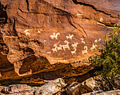 Ute Indian petroglyphs, Arches National Park, Moab, Utah, USA. Created 1650 to 1850 AD glyphs are of sheep, horses and dogs