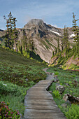 Boardwalk section of Bagley Loop Trail, Table Mountain is in the distance. Heather Meadows Recreation Area, Mount Baker Snoqualmie National Forest. North Cascades, Washington State