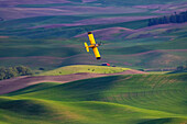 Crop duster applying chemicals on wheat fields from Steptoe Butte near Colfax, Washington State, USA