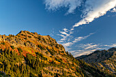 Herbstfärbung auf dem Yakima Peak im Mount Rainier National Park, Bundesstaat Washington, USA