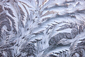 USA, Bundesstaat Washington, Sammamish. Frost auf Autoscheibe