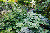 USA, Washington State. Bellevue Botanical garden and shade garden