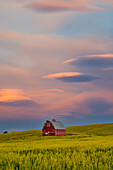 USA, Bundesstaat Washington, Palouse. Frühlingslandschaft mit roter Scheune, umgeben von gelben Rapsfeldern und dramatischem Himmel