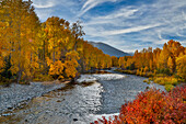 USA, Bundesstaat Washington, Methow Valley und Fluss, eingefasst von herbstlich gefärbten Bäumen.
