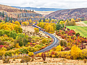 USA, Washington State, Kittitas County. Burlington Northern Santa Fe train along the Yakima River.