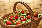 Issaquah, Washington State, USA. Woven basket of freshly harvested green beans and strawberries sitting on a granite kitchen countertop.