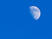 Washington State, first Quarter Moon