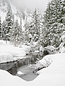 Washington State, Central Cascades. Granite Creek winter scene