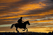 USA, Shell, Wyoming. Hideout Ranch cowgirl silhouetted on horseback at sunset. (PR,MR)