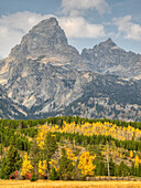 Wyoming, Grand Teton National Park. Teton Range mit Grand Teton und goldenen Aspenbäumen