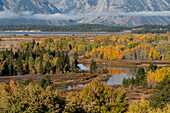 USA, Wyoming. Mount Moran und Herbstapfelbäume vom Oxbow, Grand Teton National Park.