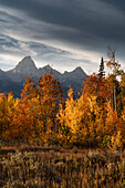 USA, Wyoming. Autumn evening near Black Tail Butte, Grand Teton National Park.