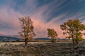 USA, Wyoming. Wolken und Pappeln bei Sonnenuntergang, in der Nähe von Antelope Flats und Mormon Row, Grand Teton National Park.