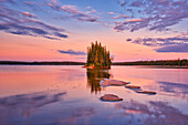 Canada, Manitoba, Paint Lake Provincial Park. Island on Paint Lake at sunrise.