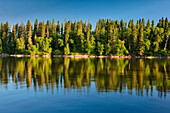 Kanada, Manitoba, Paint Lake Provincial Park. Waldreflexionen auf dem Paint Lake.