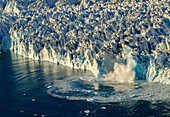 Eiskalben. Knud Rasmussen Gletscher (auch Apuseeq Gletscher genannt) im Sermiligaaq Fjord, Ammassalik, Dänisches Territorium.