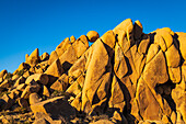 Granite boulders at Jumbo Rocks, Joshua Tree National Park, California, USA