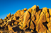 Granitblöcke bei den Jumbo Rocks, Joshua Tree National Park, Kalifornien, USA