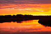 USA, Georgia, Savannah. Sonnenaufgang entlang des Grimball Creek.