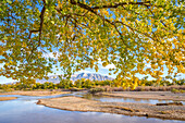 USA, New Mexico, Sandoval County. Sandia Mountains und Rio Grande River im Herbst.