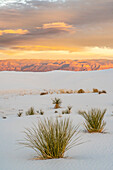 USA, New Mexico, White Sands National Monument. Clouds over sand dunes and yucca cactus.
