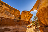 USA, Utah, Grand Staircase Escalante National Monument. Sunburst on eroded rock formations in Devil's Garden.