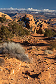 USA, Utah. Blick auf Sandsteinformationen in der Sand Flats Recreation Area mit der La Sal Mountain Range im Hintergrund, in der Nähe von Moab.
