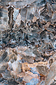 USA, Utah. Selenit Gipskristall Detail, Glass Mountain, Capitol Reef National Park