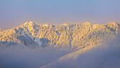 USA, Bundesstaat Washington. Sonnenaufgang über schneebedeckten Bergen im Olympic National Forest.