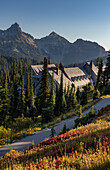 Herbstfärbung am Paradise Inn im Mount Rainier National Park, Washington State, USA