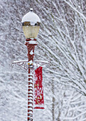 USA, Washington State, Issaquah with fresh fallen snow and red lamppost with Christmas decorations