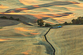 USA, Washington State, Whitman County, Palouse. Rolling fields and hills near Steptoe Butte.