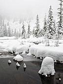 Washington State, Central Cascades. Winter scene at Granite Lake