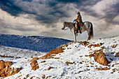 USA, Shell, Wyoming. Hideout Ranch cowgirl on horseback riding on ridgeline snow. (PR,MR)