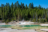 Porcelain Basin, Norris Geyser Basin, Yellowstone National Park, Wyoming, USA