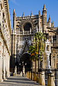 Giralda, Kathedrale