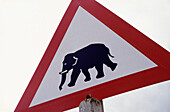 Elefantenschild im Addo National Park