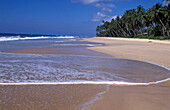 Turtle Sanctuary Beach Release