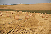 Strohballen auf dem Feld in der Nähe des Dorfes Mere