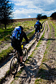 Mountainbiker auf dem Ridgeway. Uralter Weg, der als älteste Straße Großbritanniens beschrieben wird und seit der Jungsteinzeit benutzt wurde. Jetzt ein eingeschränkter Nebenweg. Vale Of The White Horse, Oxfordshire, Großbritannien