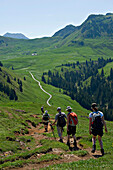 Eine Gruppe von Wanderern wandert in der Region Kitzbühel in Richtung Bichlalm. KitzbÅ¸hel-Alpen. Tirol, Österreich.