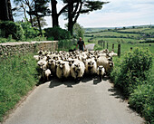 Eype, West Dorset, Großbritannien