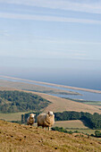 The Jurassic Coast, West Dorset