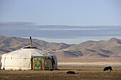 Eine Frau vor einer Jurte; Kharkhorin, Mongolei