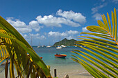 Blick auf die Tyrell Bay durch die Palm Frawns. Ein Boot sitzt im Wasser; Grenada, Karibik