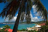 Hoher Blickwinkel über Grand Anse Beach und Palme; Grenada
