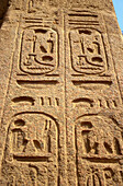 Nahaufnahme von Kartusche und Hieroglyphen auf Statue, Memphis, Ägypten; Memphis, Ägypten